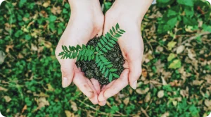 Sustainable Development